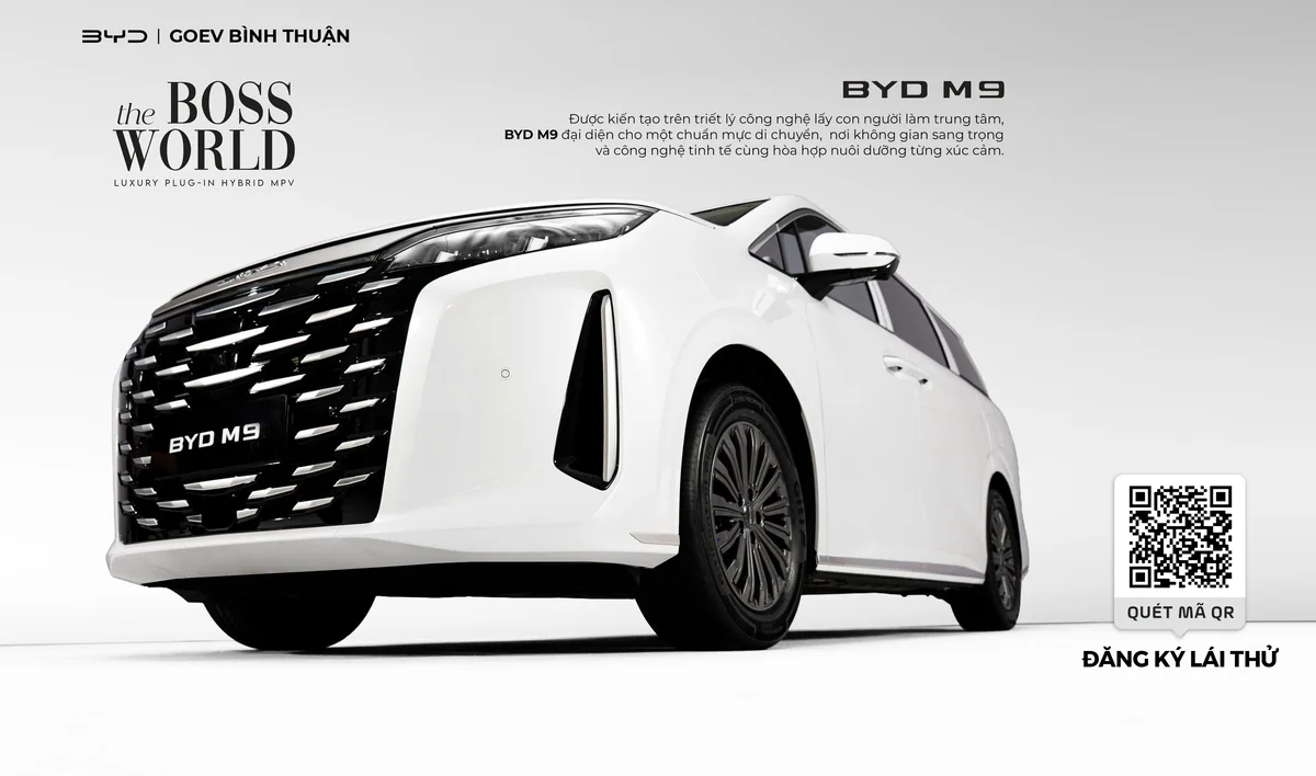 BYD M9 Gallery