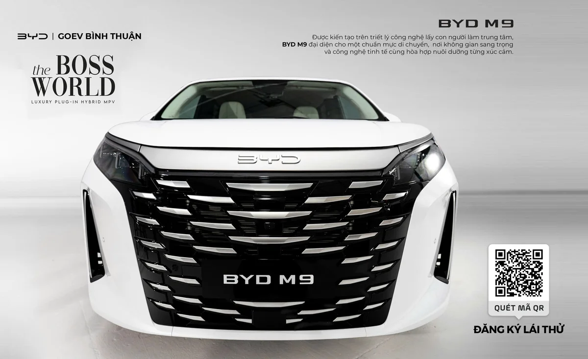 BYD M9 Gallery