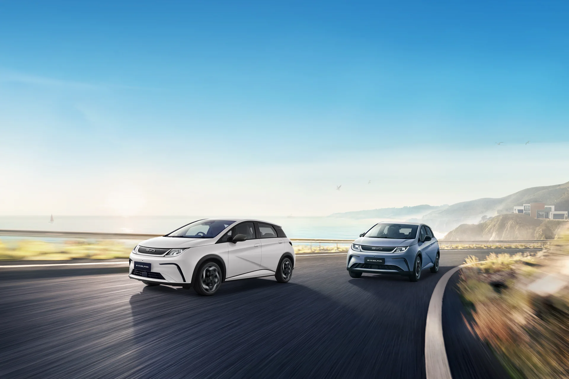 BYD DOLPHIN Gallery